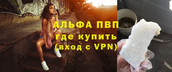 гидра Инсар