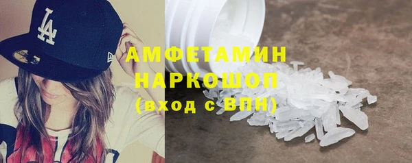 гидра Инсар