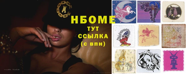 индика Иннополис