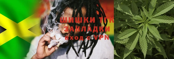 индика Иннополис