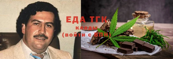 гидра Инсар