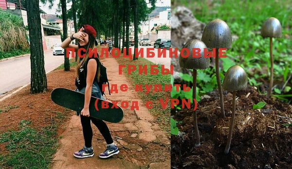 гидра Инсар
