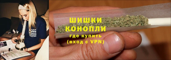 индика Иннополис