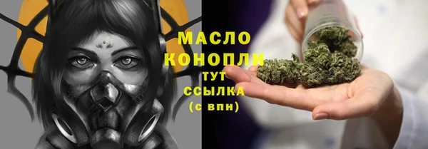 индика Иннополис