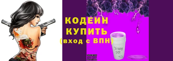 индика Иннополис