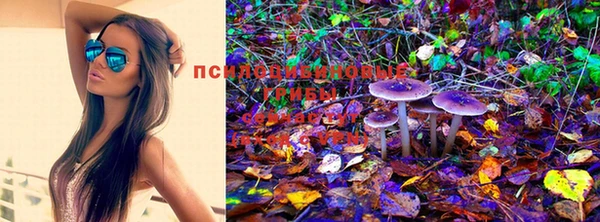 молекула духа Инта