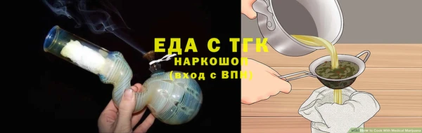 индика Иннополис