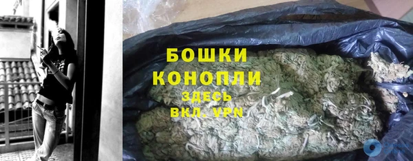 молекула духа Инта