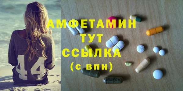 гидра Инсар