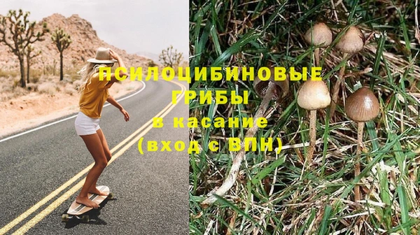 молекула духа Инта