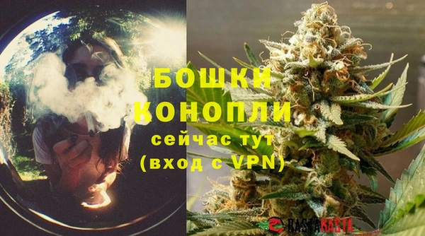 индика Иннополис