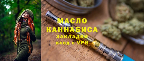 индика Иннополис