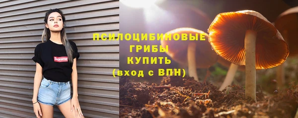 гидра Инсар